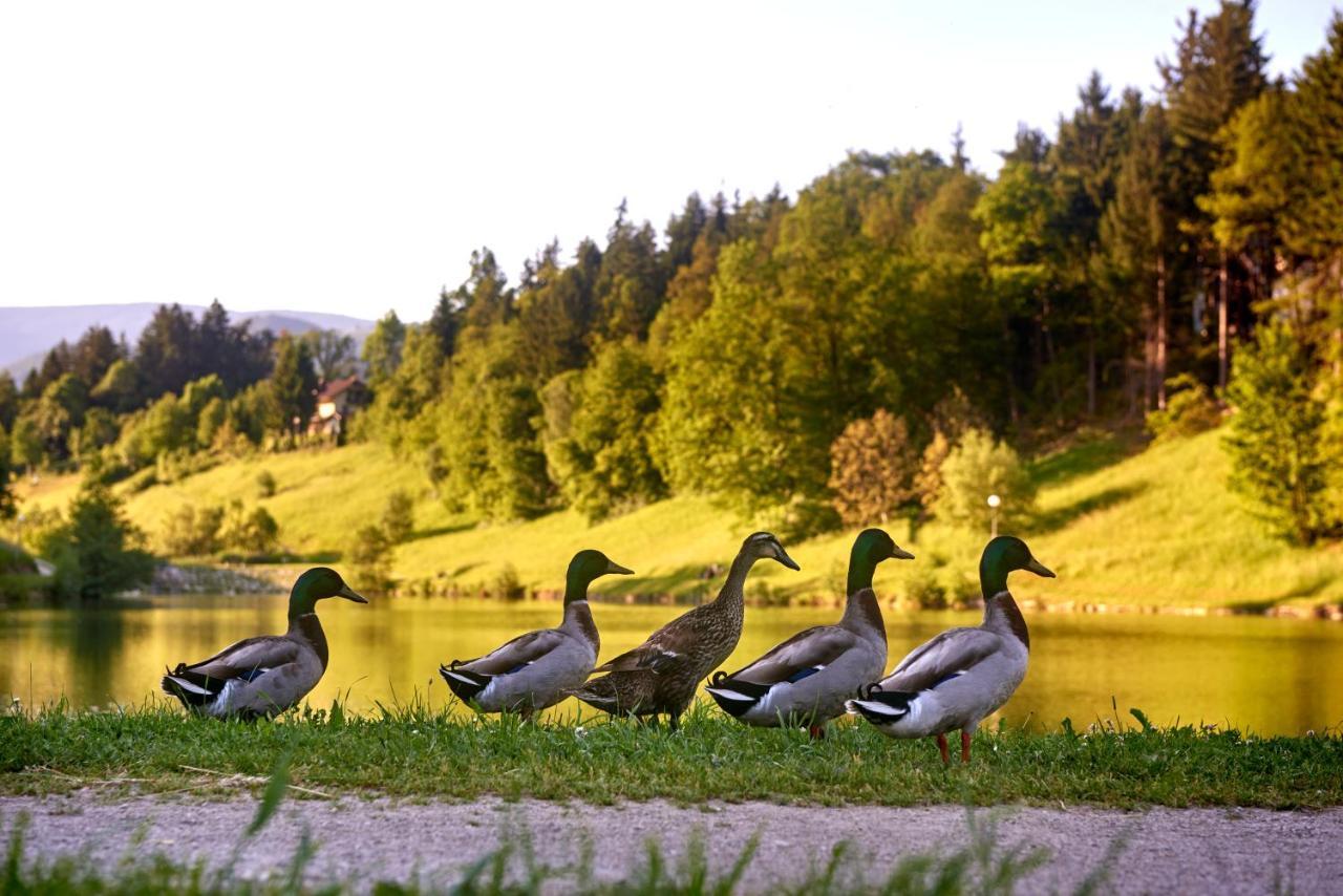 Terme Zrece - Hotel Atrij Экстерьер фото